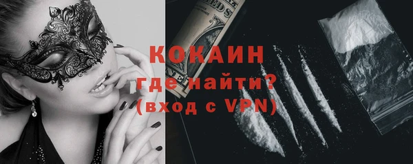 индика Алексин