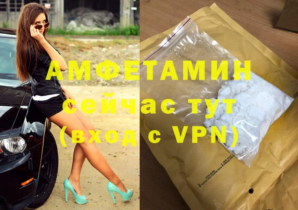 индика Алексин