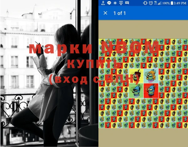 индика Алексин