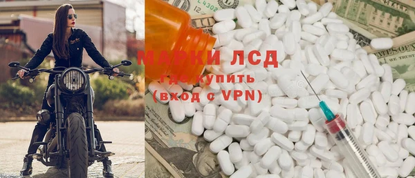 индика Алексин