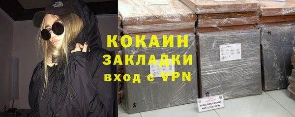 индика Алексин