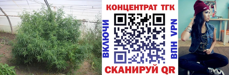 купить наркотик  Черепаново  omg tor  ТГК Wax 