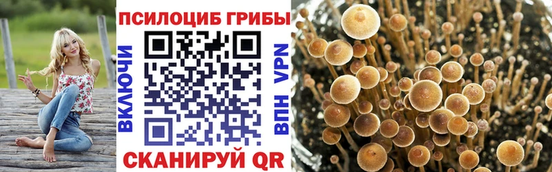 Псилоцибиновые грибы мицелий  наркотики  Черепаново 