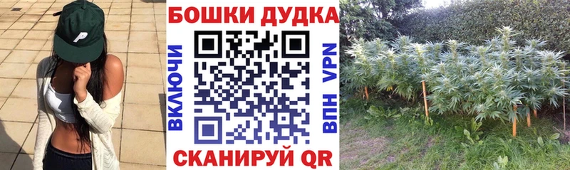Каннабис SATIVA & INDICA купить Черепаново